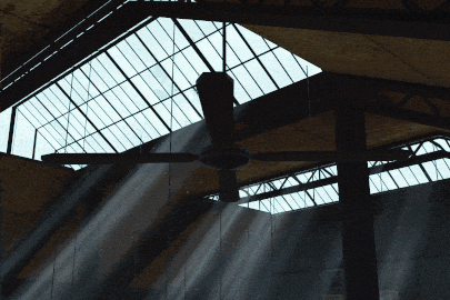 Animated ceiling fan